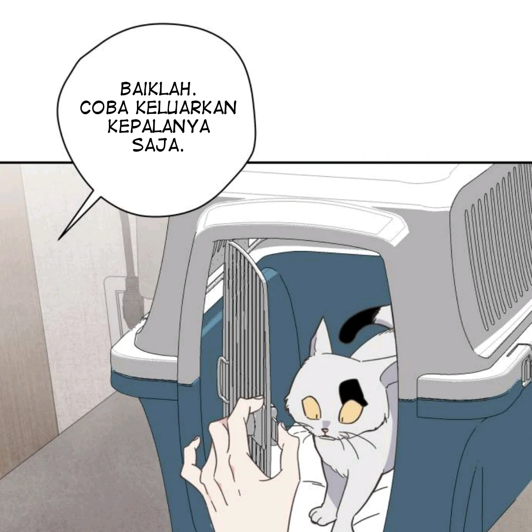 Bitter Sweet Home chapter 6 halaman 47