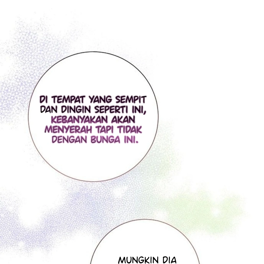 For My Gentle Monster chapter 3 halaman 66